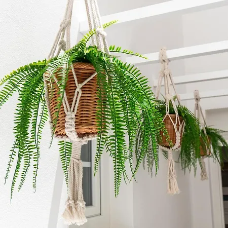 公寓 Hidalgos Hideaway - La Caleta 阿德耶