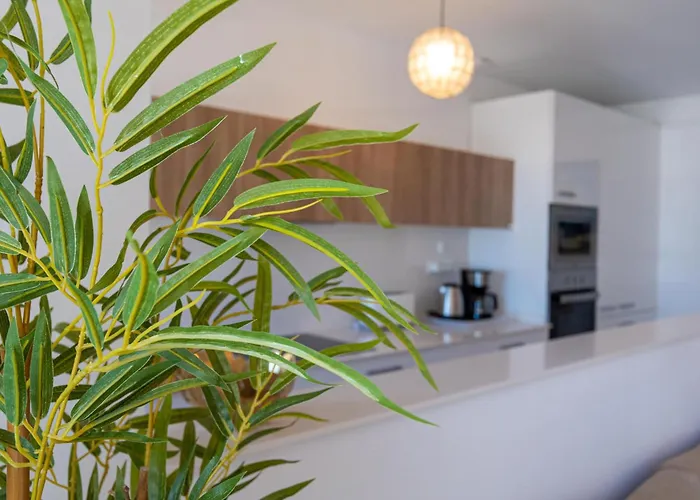 Hidalgos Hideaway - La Caleta Apartman *