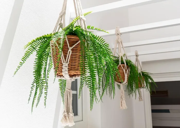 Apartman Hidalgos Hideaway - La Caleta Costa Adeje (Tenerife)